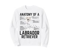 Anatomy of A Labrador Retriever Sweatshirt