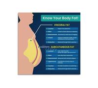 Anatomy of Fat Poster for Personal Trainer Office