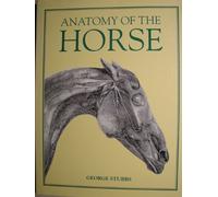 Anatomy of the Horse