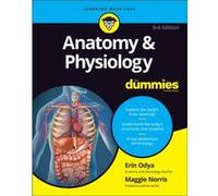 Maggie A. Norris et Erin Odya – Anatomy & Physiology for Dummies – 3e édition – Broché