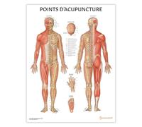 Anatomy Stuff Points D'acupuncture Poster Français 45 x 60 cm 18 x 24 pouces Acupuncture Points Diagramme