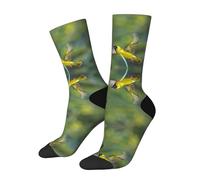 Anceky Chaussettes fantaisie à motif de tisserand masqué du sud dans le parc national Kruger pour hommes et femmes