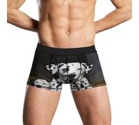 Anceky sous-vêtements pour Hommes Motif Chien Dalmatien, Boxer Respirant et évacuant l'humidité, sous-vêtements légers pour Hommes