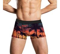 Anceky sous-vêtements pour Hommes Palm Tree Summer Sunset Boxer Respirant et évacuant l'humidité sous-vêtements légers pour Hommes