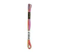 Anchor Sticktwist Multicolor, Longueur du Canon: 8M 1360 Fils À Broder