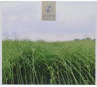 Anchor - Recovery [Import]