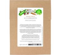 Anciennes Citrouilles,Courges Et Potirons-Kit De Graines Avec 5 Variétés Savoureuses Et Décoratives