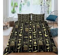 Ancient egypt Housse de Couette Facile d'entretien Microfibre 3 Pièces 3D Imprimée Hieroglyphic motif Linge de Lit avec Fermeture Éclair Respirante for Adulte Enfants Filles Super king（260x220cm）