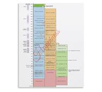 Ancient Judea Ruler Timeline Poster Hasmonean Ptolemaic Seleucid Rome