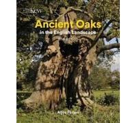 Ancient Oaks In The English Landscape