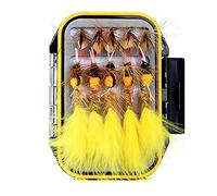 ANCLLO Lot de 30 Mouches de Pêche à la Mouche, Assortiment avec Boîte Étanche pour la Pêche à la Truite