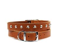 Ancol Collier de Chien en Cuir clouté pour Chiens et Chiots - Collier de Dressage Durable avec raccords moulés sous Pression - Couleur Marron Clair - Taille 45-54 cm Taille 6