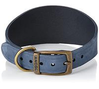 Ancol Collier Timberwolf Greyhound, Bleu, 34-43 cm