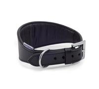 Ancol Greyhound Collier rembourré en Cuir pour Chien avec Doublure rembourrée Douce Boucle moulée sous Pression pour Plus de Confort Noir 34-43 cm
