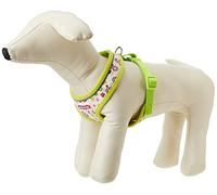 Ancol Harnais pour Chien en Nylon avec Boucles réglables et Fermeture à clic Rapide, Confortable, Respirant, Doux, rembourré, Accessoire de Dressage pour Animaux de Compagnie - Taille S - 34-45 cm