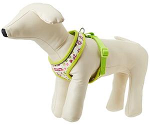 Ancol Harnais pour Chien en Nylon avec Boucles réglables et Fermeture à clic Rapide, Confortable, Respirant, Doux, rembourré, Accessoire de Dressage pour Animaux de Compagnie - Taille S - 34-45 cm