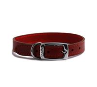 Ancol Heritage Collier pour Chien en Cuir Durable - Accessoire de Dressage pour Chiot - Raccord moulé sous Pression pour Plus de résistance et de Confort - 35-43 cm Taille 4
