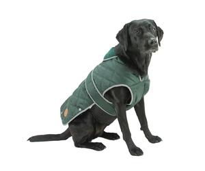 Ancol Heritage Manteau matelassé pour Chien en Vert - Veste imperméable doublée en Polaire avec Trou de Harnais zippé - Bordure réfléchissante - Taille M