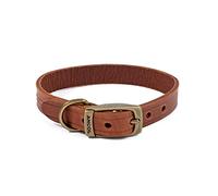 Ancol Latigo Collier Châtaigne 20-26 cm Taille 1