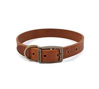 Ancol Latigo Collier châtaignier Flexible Extensible pour Animal Domestique Accessoire de Dressage 28-36 cm Taille 3