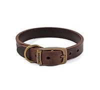 Ancol Latigo Collier pour Chien Souple Extensible Havana Cuir Accessoire de Dressage avec Fixations Or Antique Doux et Résistant Taille 1 20-26cm