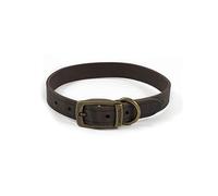 ANCOL Latigo Havana Collier 28-36 cm Taille 3