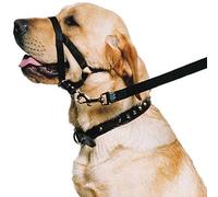 Ancol Licol de Dressage résistant aux intempéries en Nylon Noir pour Animal Domestique, Accessoire de Dressage pour Animal Domestique, Taille S