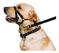 Ancol Licol de Dressage résistant aux intempéries en Nylon Noir pour Animal Domestique Taille L