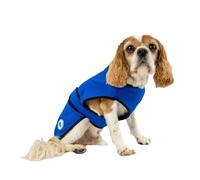 Ancol Manteau rafraîchissant pour Chien, 2 x l