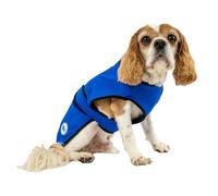 Ancol Manteau rafraîchissant pour Chien, Taille L