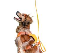 Ancol - Set harnais et laisse pour chien "Extreme Hybrid" TL5900 (XL) (Orange)