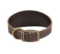 Ancol Timberwolf Collier en Cuir pour Whippet Sable pour Tour de Cou de 30 à 34 cm