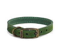 Ancol Timberwolf Collier pour Chien Confortable et Durable en Cuir Vert 28-36 cm Taille 3