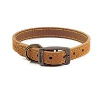 Ancol Timberwolf Collier Confortable et Durable en Cuir Moutarde pour Chien Accessoire de Dressage 28-36 cm Taille 3