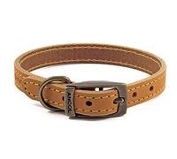 Ancol Timberwolf Collier en Cuir pour Chien Moutarde pour Tour de Cou 20-26 cm