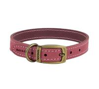 Ancol Timberwolf Collier pour Chien en Cuir de qualité supérieure - Accessoire de Dressage Confortable et Durable - Bride en Cuir Framboise - Doux et Souple traité imperméable - 35-43 cm Taille 4