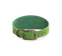Ancol Timberwolf Collier pour Chien en Cuir pour lévrier Vert - Bride en Cuir Pleine Fleur Confortable et Durable Accessoire de Dressage pour Animal Domestique - 34-43 cm