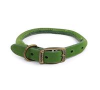 Ancol Timberwolf Collier Rond en Cuir Vert - Bride en Cuir Pleine Fleur avec Noyau en Nylon Durable - Accessoire de Dressage pour Animaux de Compagnie - 35-43 cm Taille 4