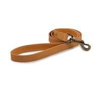 Ancol Timberwolf Laisse en Cuir pour Chien Moutarde 1 m