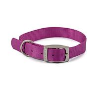 Ancol Viva Collier réglable pour Chien avec Boucle en Satin - Tour de Cou léger et résistant aux intempéries - 35-43 cm - Taille 4 - Violet