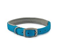 Ancol Viva Collier rembourré pour Chien avec Boucle Bleu Accessoire de Promenade Durable pour Chien Chiot Taille 5 Tour de Cou 39-48 cm