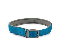 Ancol Viva Collier rembourré pour Chien avec Boucle Bleu Accessoire de Promenade Durable pour Chien Chiot Taille 7 pour Tour de Cou 50-59 cm