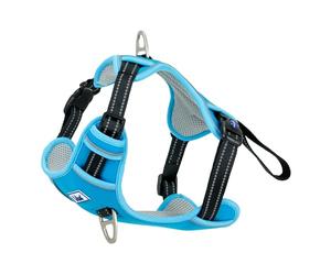 Ancol Viva Harnais d'exercice et de Voyage pour Chien Bleu - Accessoire Confortable avec Poitrine rembourrée et 2 Clips pour Laisse - Taille S 35-45 cm