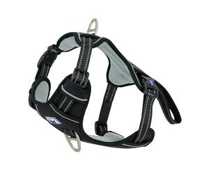 Ancol Viva Harnais d'exercice et de Voyage pour Chien Noir - Accessoire Confortable pour Animal de Compagnie avec Poitrine rembourrée et 2 Clips pour Laisse - Taille M 45-65 cm