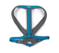 Ancol Viva Harnais rembourré Bleu XXL 97-130 cm