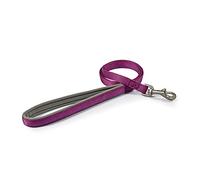 Ancol Viva Laisse rembourrée pour Chien avec poignée en néoprène résistant aux intempéries et Durable Violet 1 m x 19 mm