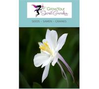 ancolie des jardin 'White Star' Aquilegia Blanc - vivaces