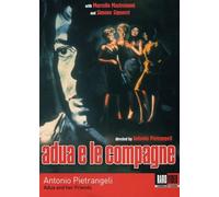and Her Friends (Adua e Le Compagne)