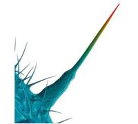 and I'll Scratch Yours/Various [Import]