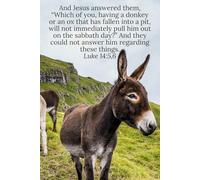 And Jesus answered them, “Which of you, having a donkey or an ox that has fallen into a pit, will not immediately pull him out on the sabbath day?” ... these things. Luke 14:5,6 - Daily Journal